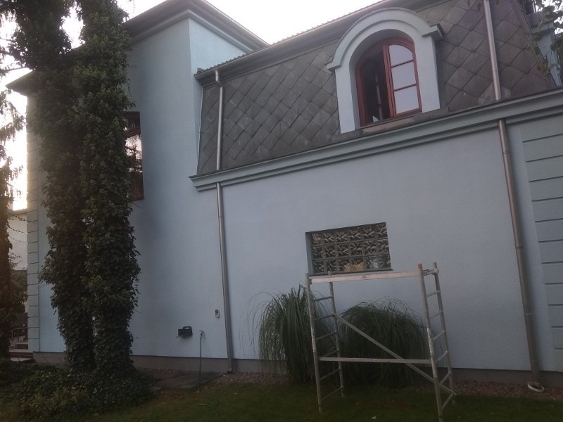 Niebieski budynek z szarym dachem, widoczna aluminiowa drabina oparta o ścianę pod oknem z luksferami, zarośnięty drzewem fragment fasady.