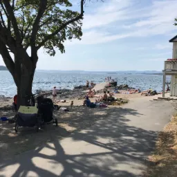 Letni krajobraz: plaża z ludźmi opalającymi się, pomost wchodzący w morze, duży rozłożysty dąb rzucający cień na piasek i chodnik, w tle budynek z balkonem.