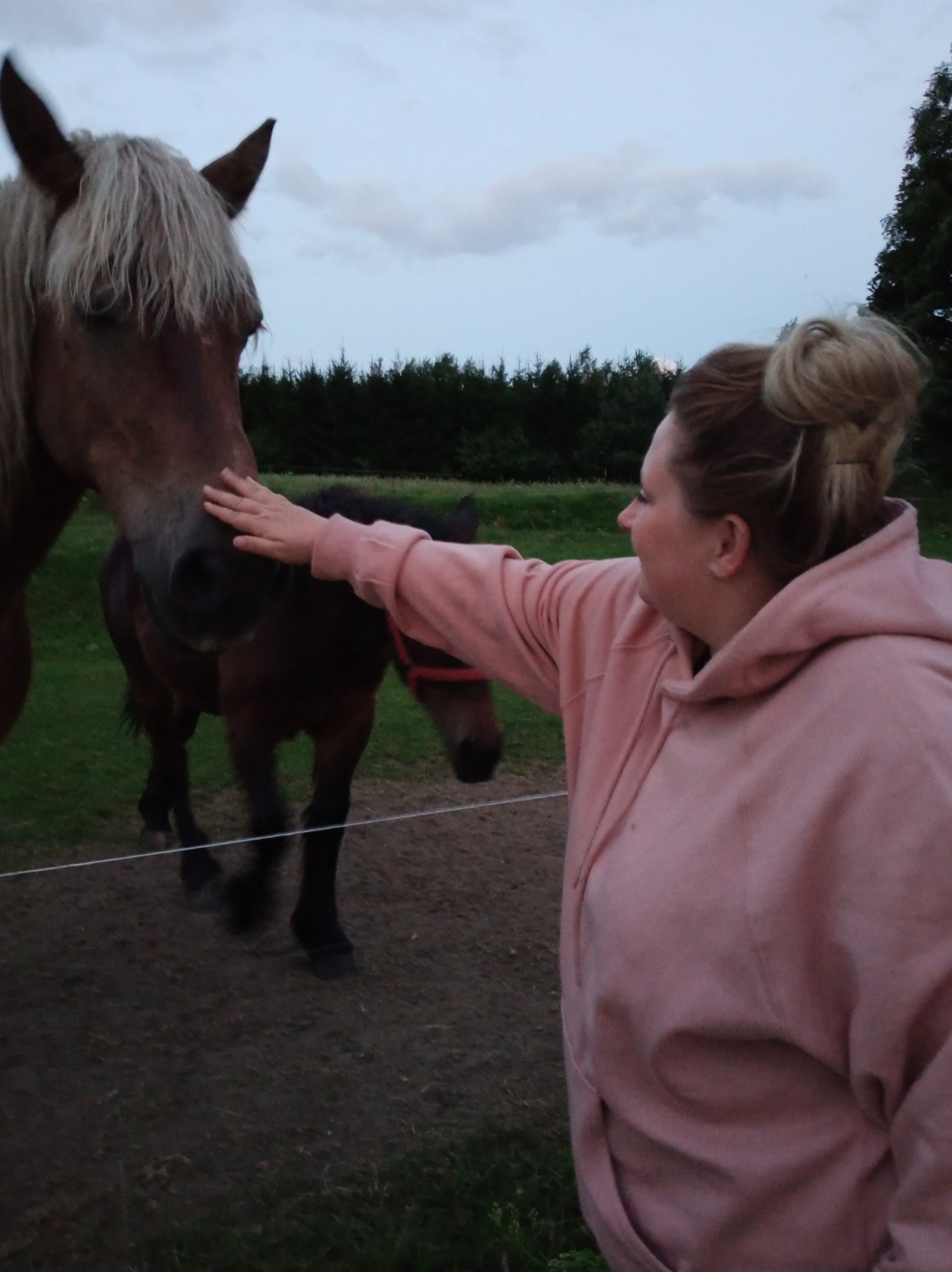 Kobieta w różowej bluzie głaszcze konia na pastwisku w pochmurny dzień, w tle widoczny źrebak.