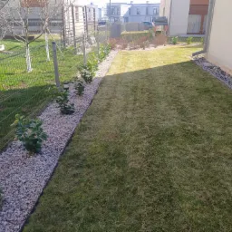 Świeżo założony trawnik z młodymi drzewkami posadzonymi wzdłuż ogrodzenia, podsypanymi drobnym kamieniem, widok z góry w słoneczny dzień.