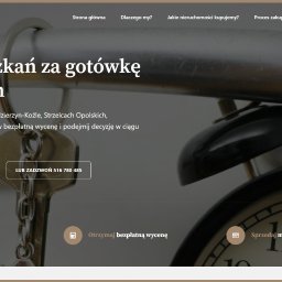 Tworzenie stron internetowych Kędzierzyn-Koźle 2