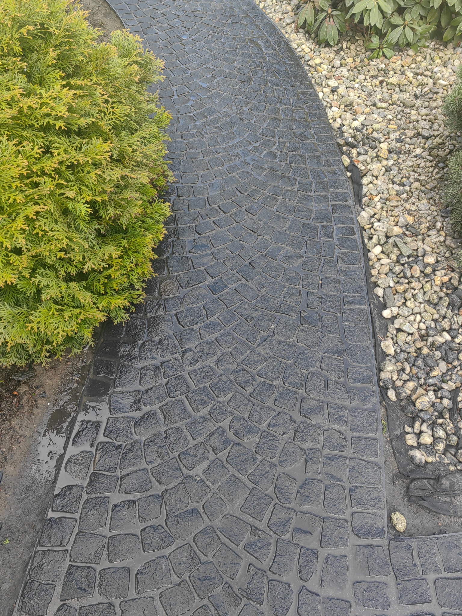 Czarna, wilgotna ścieżka z wzorem kostki, obok zielony krzew i jasne kamienie. Ujęcie z góry, ukazujące łukowaty kształt ścieżki i jej teksturę.