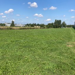 Zagospodarowanie terenów zielonych - Doskonałe Koszenie Trawy Lublin