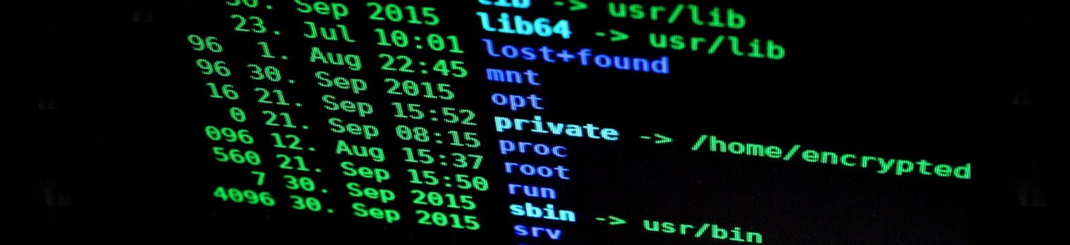 Ekran monitora z wyświetlonymi zielonymi liniami kodu, prezentujący zawartość katalogu z datami i nazwami plików, w tym 'private -> /home/encrypted'.