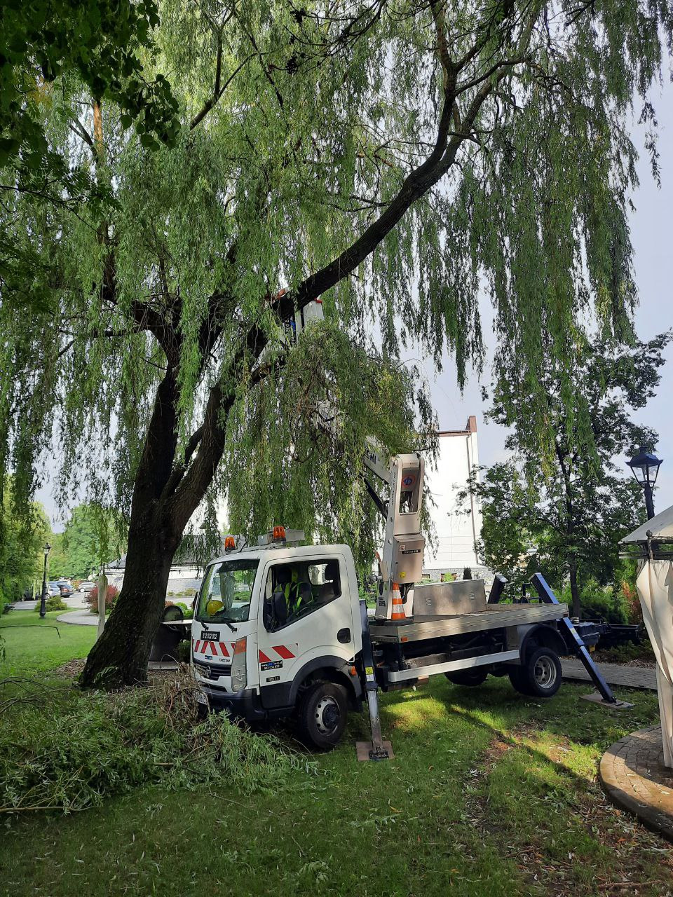 Biała ciężarówka z podnośnikiem koszowym na trawniku obok ściętego drzewa, widoczny pracownik w koszu na wysokości.