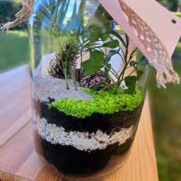 las w słoju - warsztaty kreatywne dla dzieci i dorosłych