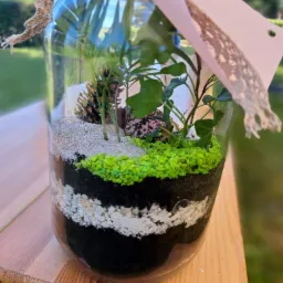 las w słoju - warsztaty kreatywne dla dzieci i dorosłych