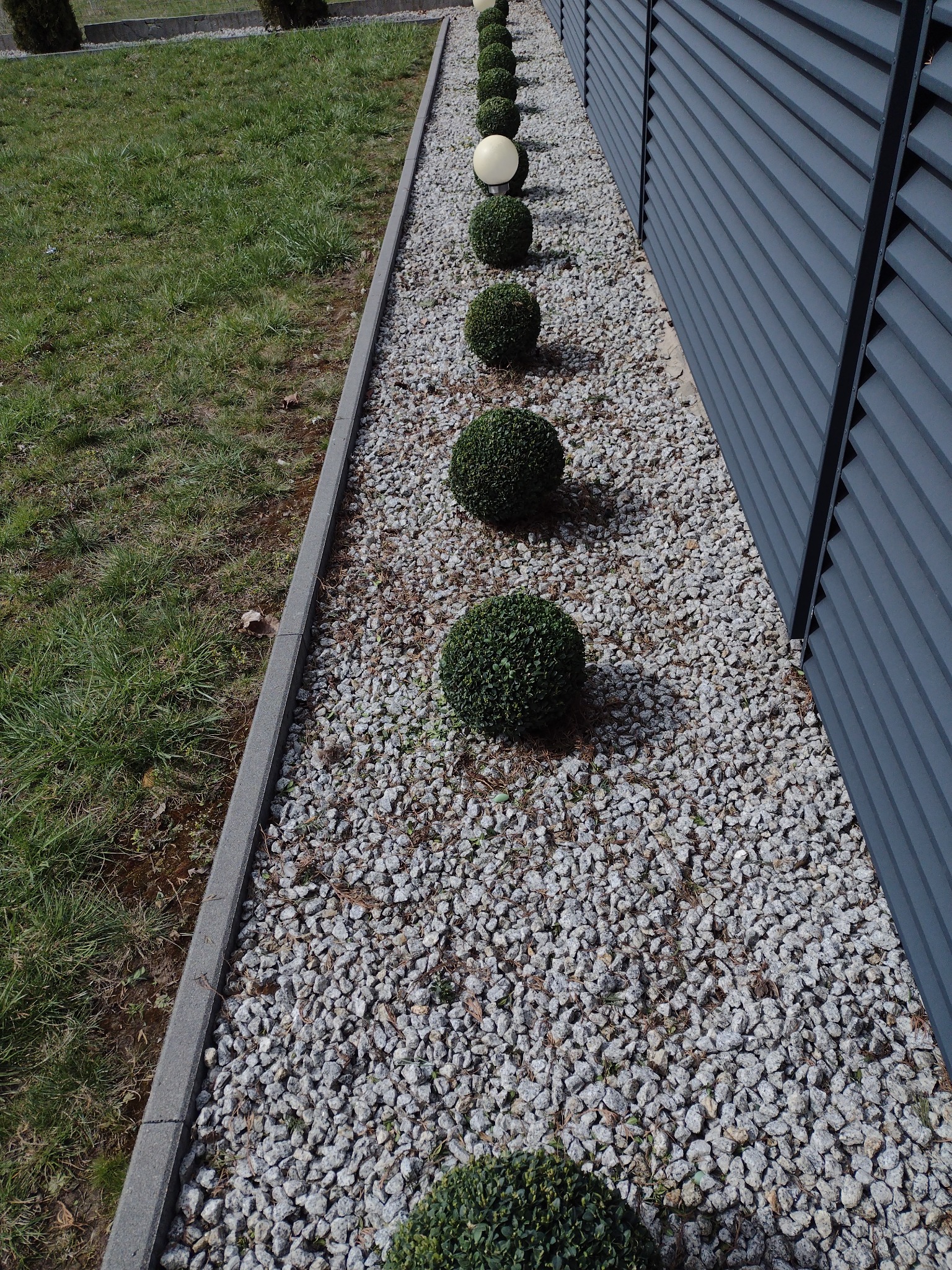 Rząd równo przyciętych, kulistych krzewów bukszpanu, wysypany drobnym, szarym żwirem wzdłuż nowoczesnego, szarego ogrodzenia panelowego, z jedną białą kulą oświetleniową.