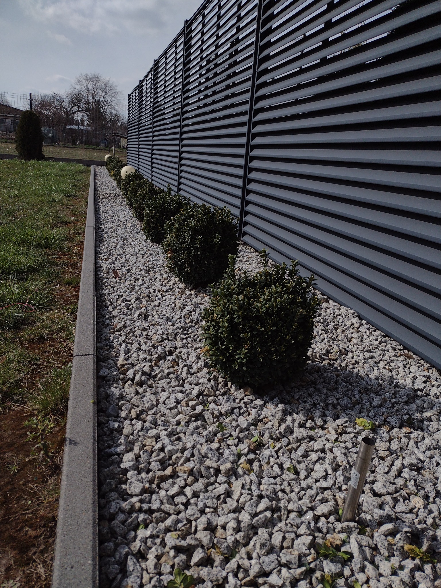 Nowoczesny, szary płot lamelowy z nasadzeniami z bukszpanu i białych kulistych lamp, podsypane drobnym, szarym kamieniem.