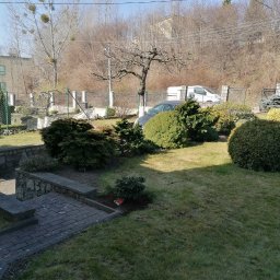 Trawa z rolki Gdańsk 1