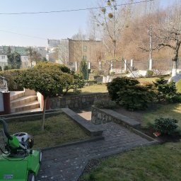 Trawa z rolki Gdańsk 2