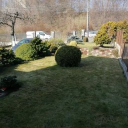 Trawa z rolki Gdańsk 3