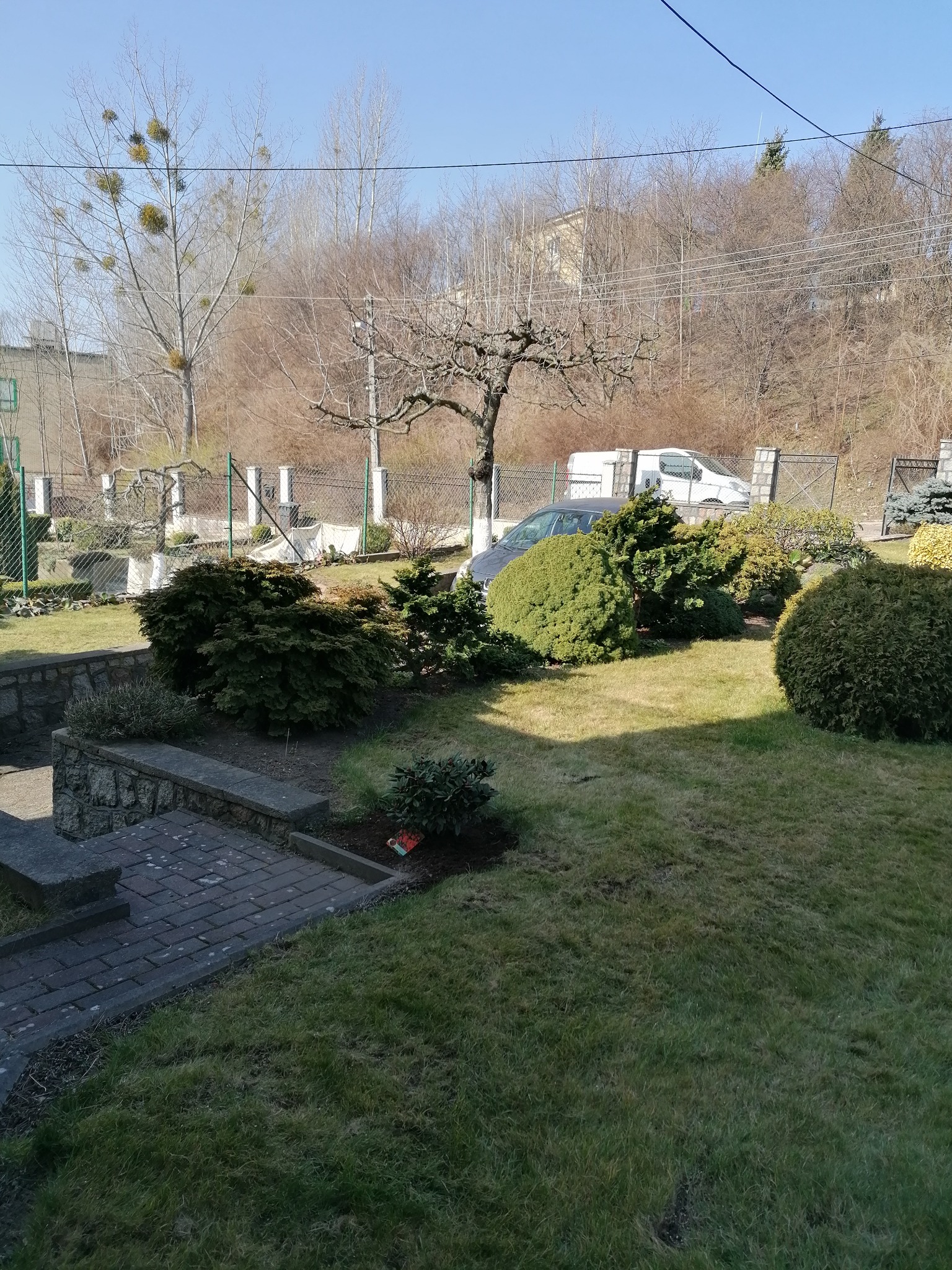 Ogród w Gdańsku z równo przystrzyżonym trawnikiem, ozdobnymi krzewami i drzewami, w tle zaparkowany samochód i budynki.