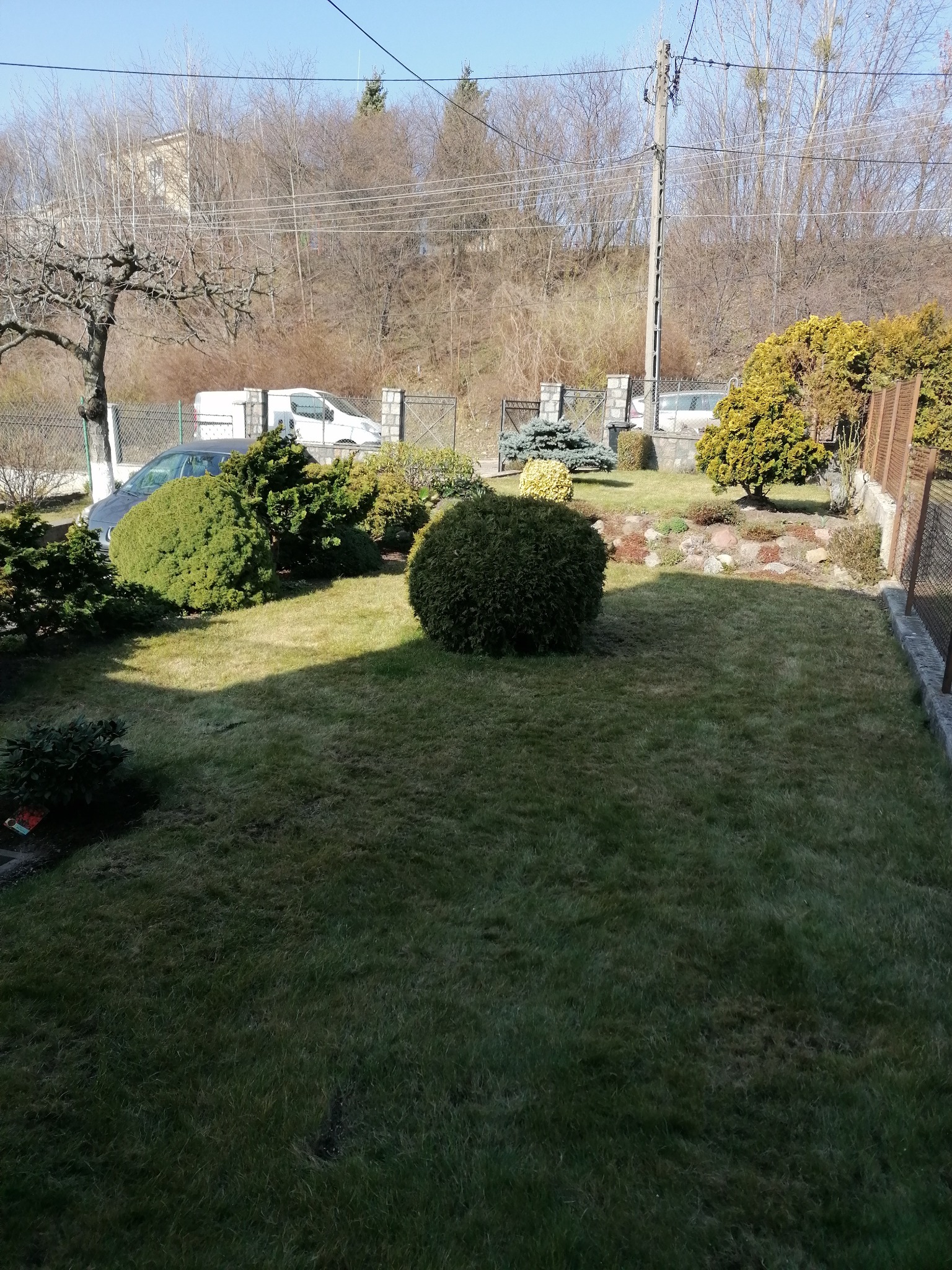 Zadbany ogród z równo przystrzyżonym trawnikiem, okrągłymi krzewami i drzewami iglastymi; w tle widoczny samochód dostawczy zaparkowany przy ogrodzeniu.