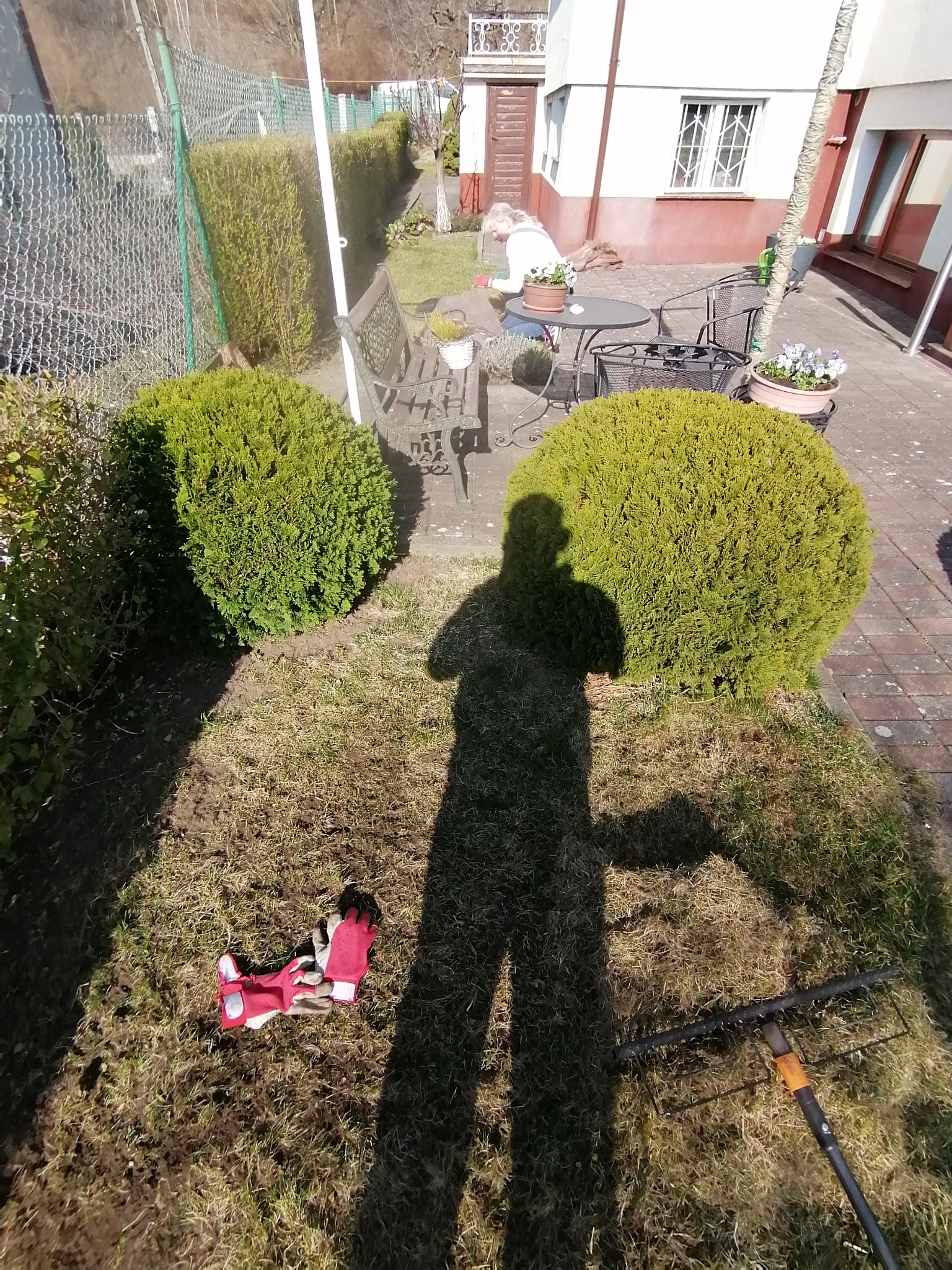 Cień osoby na trawniku z grabiami i rękawicami ogrodniczymi, w tle dwa okrągłe krzewy, ławka, stół z kwiatami i budynek.