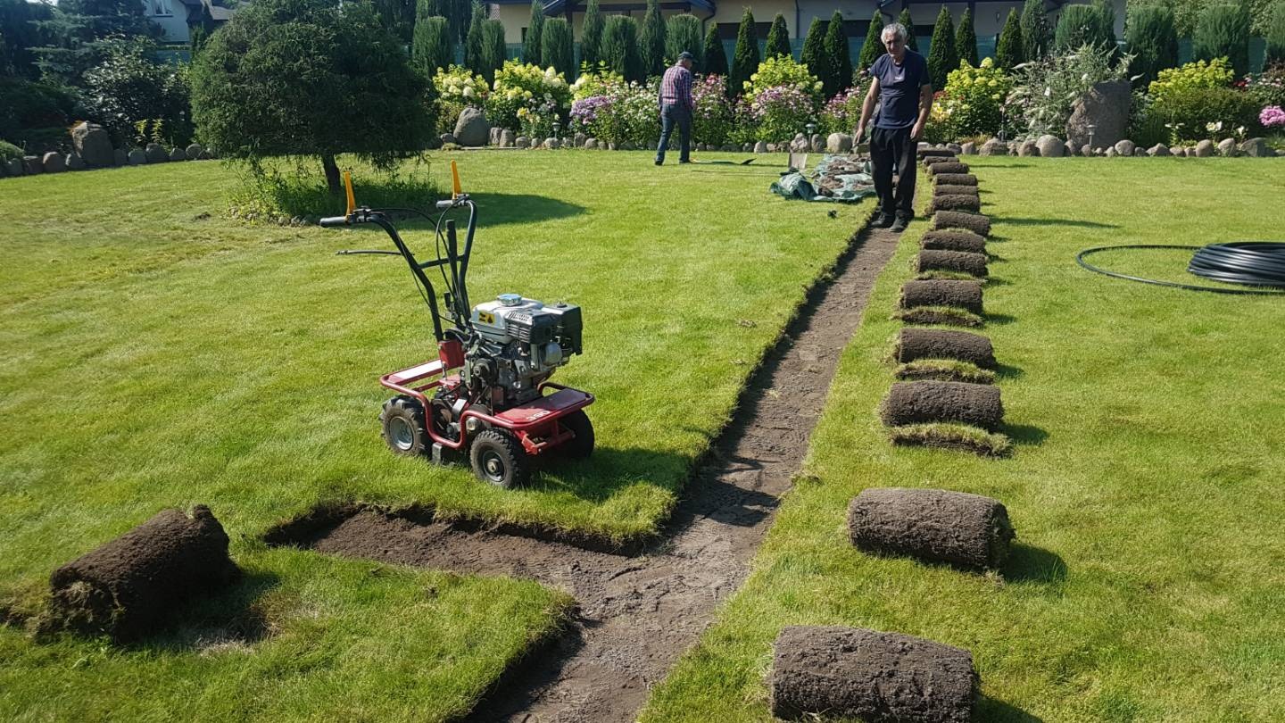 Przygotowanie terenu pod trawnik z rolki: wykopany wąski pas ziemi, obok ułożone rolki trawy, w tle mężczyzna stojący na wykopanym pasie i czerwona glebogryzarka.
