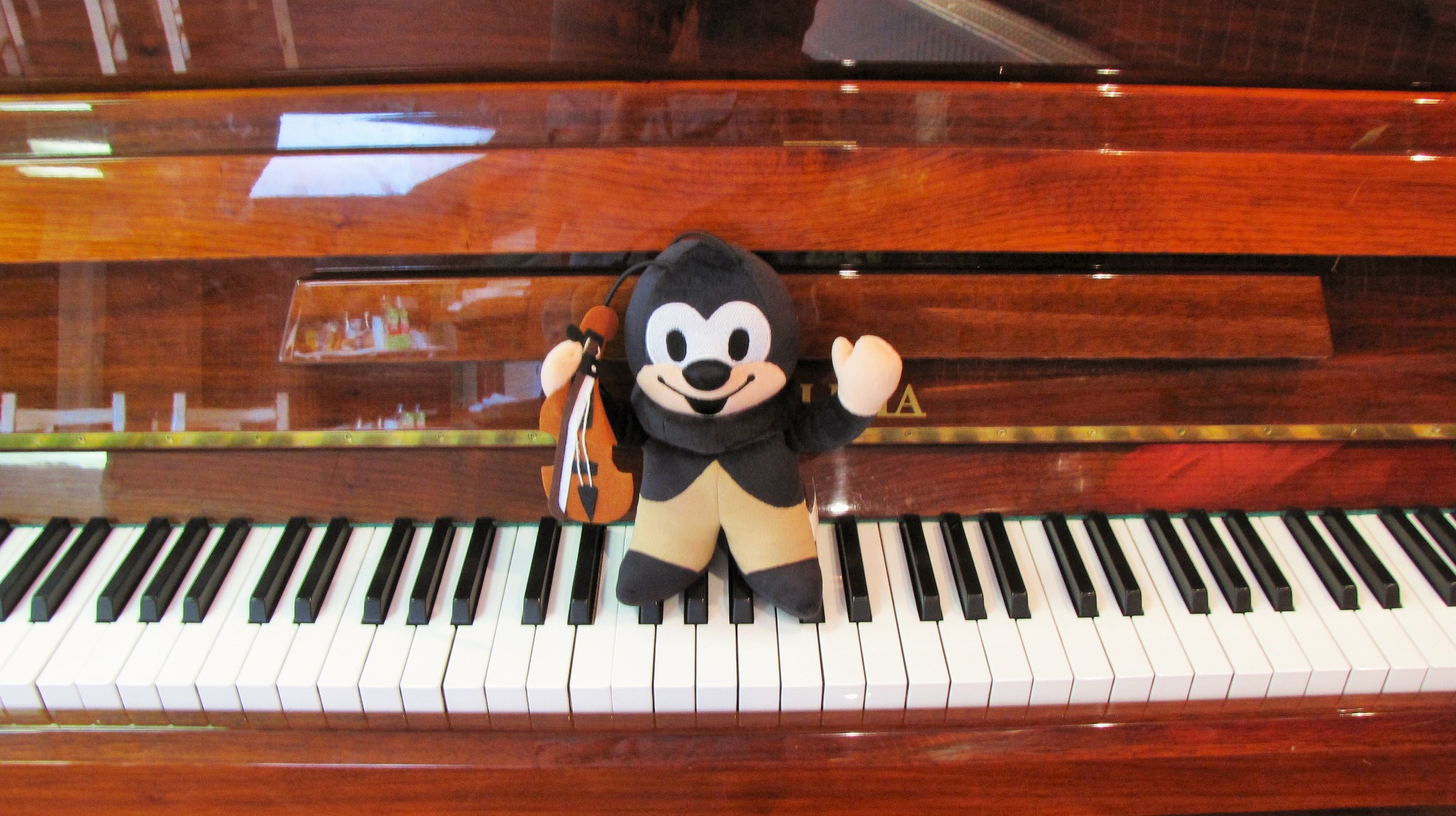 Nauka gry na pianinie dostosowana do zainteresowań i możliwości ucznia. Zapraszamy do zapisów.