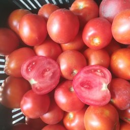 Warzywa Włocławek 2