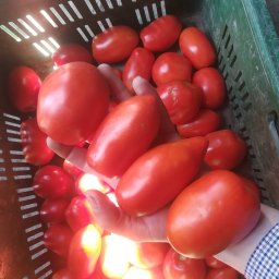 Warzywa Włocławek 3