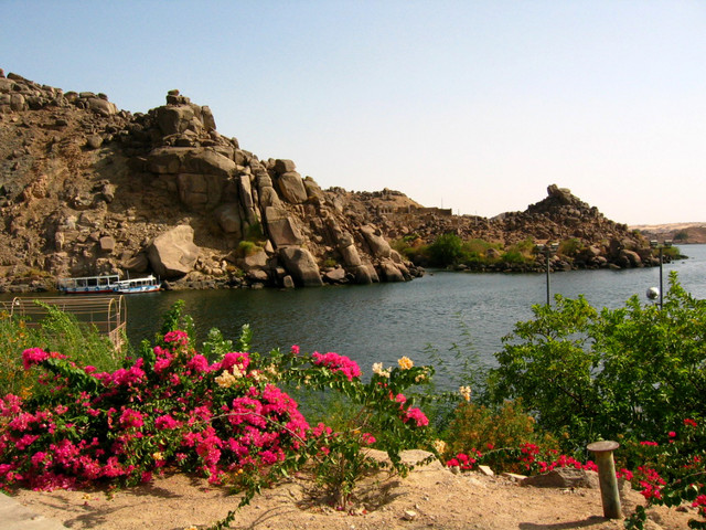 Krajobraz Nilu z kwitnącymi bugenwillami na pierwszym planie, skaliste brzegi i łódź wycieczkowa w tle.