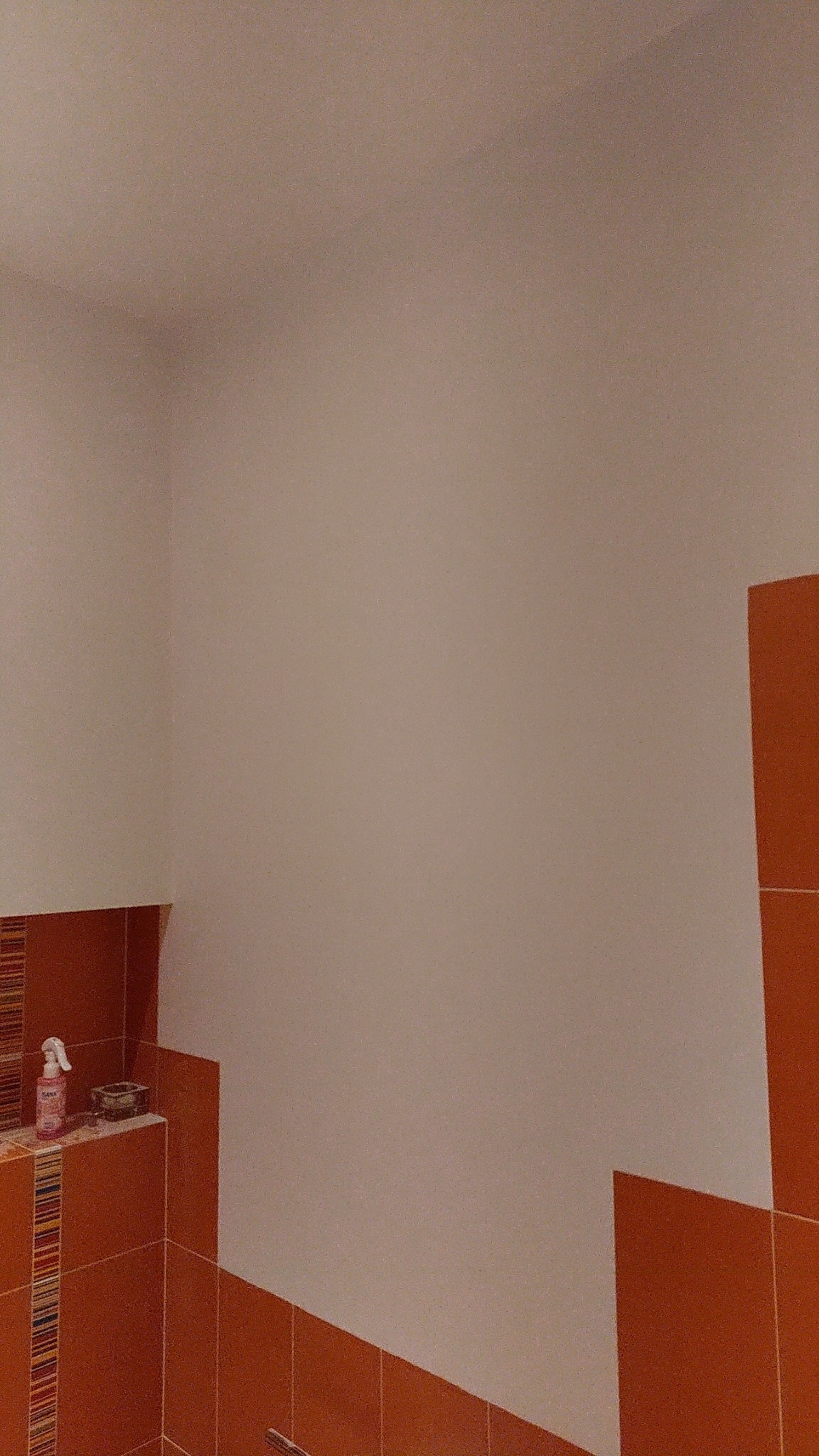 Fragment ściany łazienki z pomarańczowymi płytkami i półką, na której stoi butelka z rozpylaczem i mała mydelniczka.