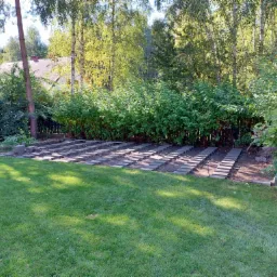 Przygotowanie podłoża pod taras: ułożone betonowe płyty na gruncie, widoczne ślady wykopanej ziemi, trawnik i zieleń w tle.