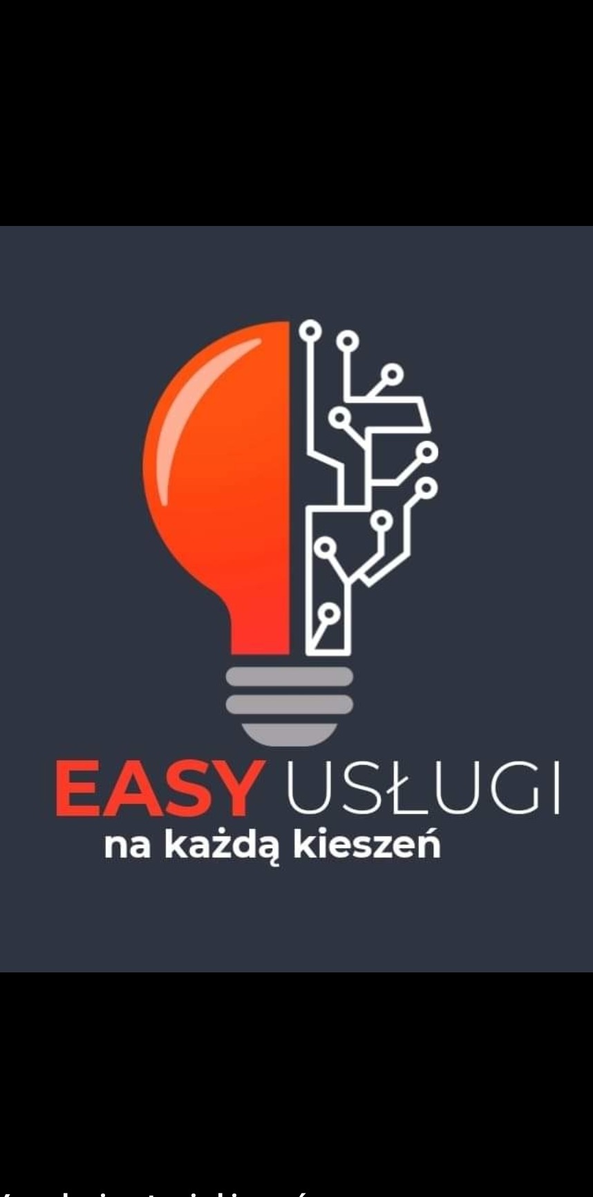 Logo firmy Easy Usługi przedstawia żarówkę, której jedna połowa jest pomarańczowa, a druga biała i przypomina schemat elektroniczny. Pod spodem znajduje się napis 'EASY USŁUGI na każdą kieszeń'.