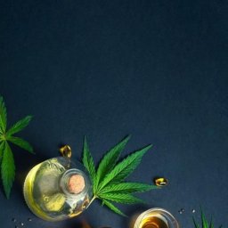 Olejki CBD
