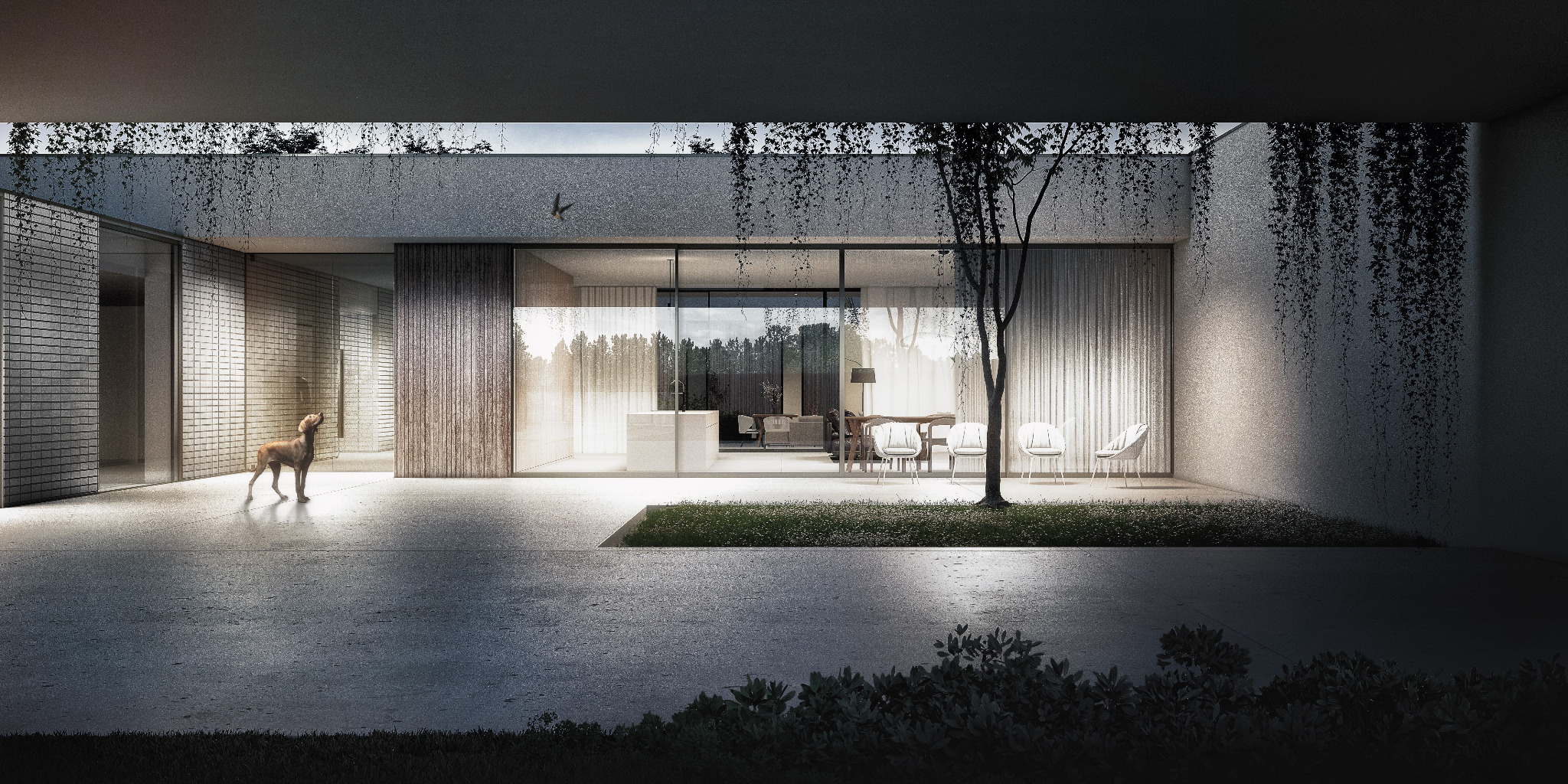 Minimalistyczny dom z dużymi oknami i tarasem, na którym stoi pies rasy wyżeł; zwisające pnącza z dachu, widoczne meble ogrodowe i drzewo.