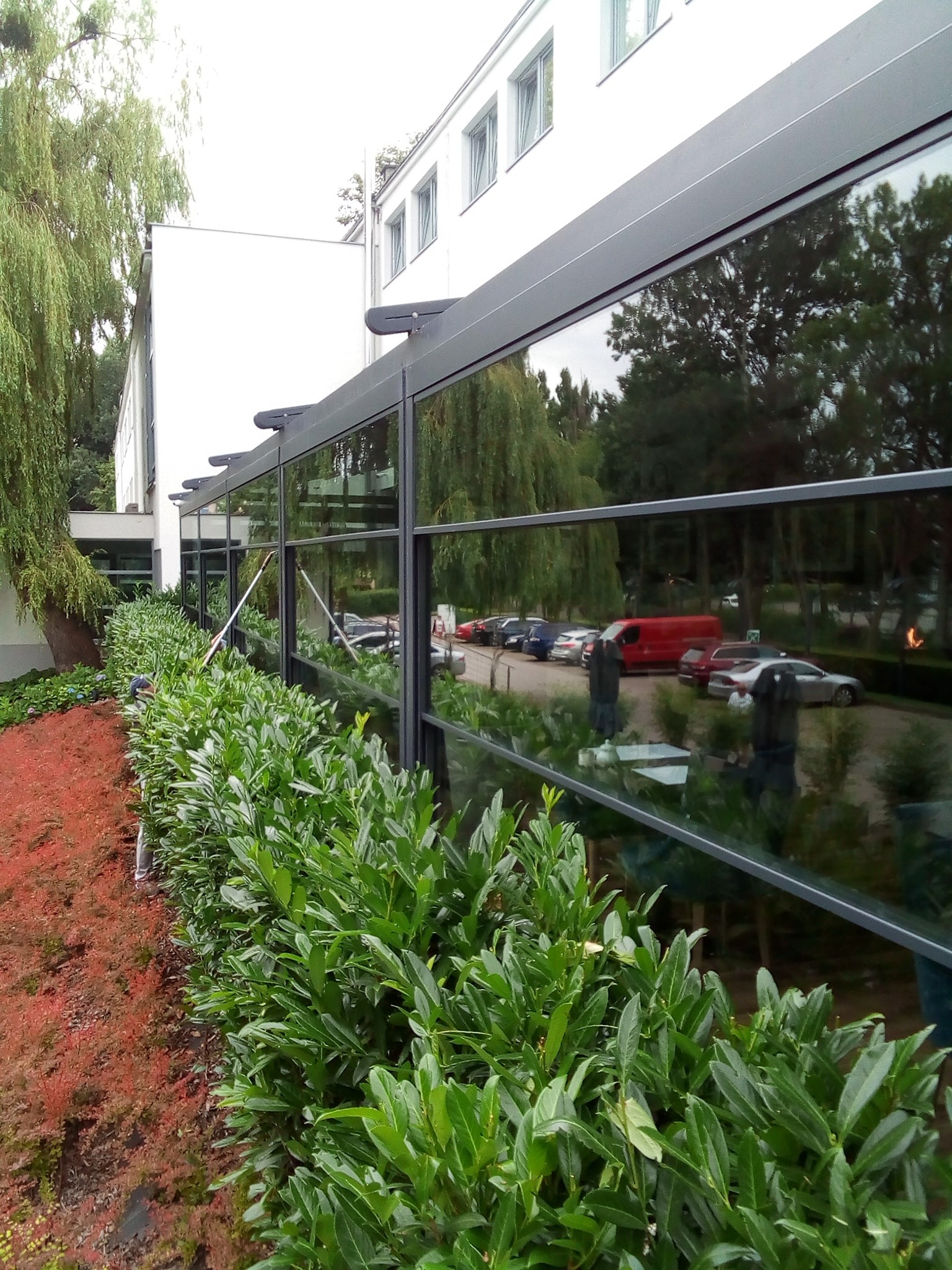 Długi rząd okien biurowych z ciemnymi ramami, odbijających otoczenie, widziany z poziomu niskiego żywopłotu i czerwonej ściółki.