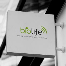 Business Partners Club - projekt logo