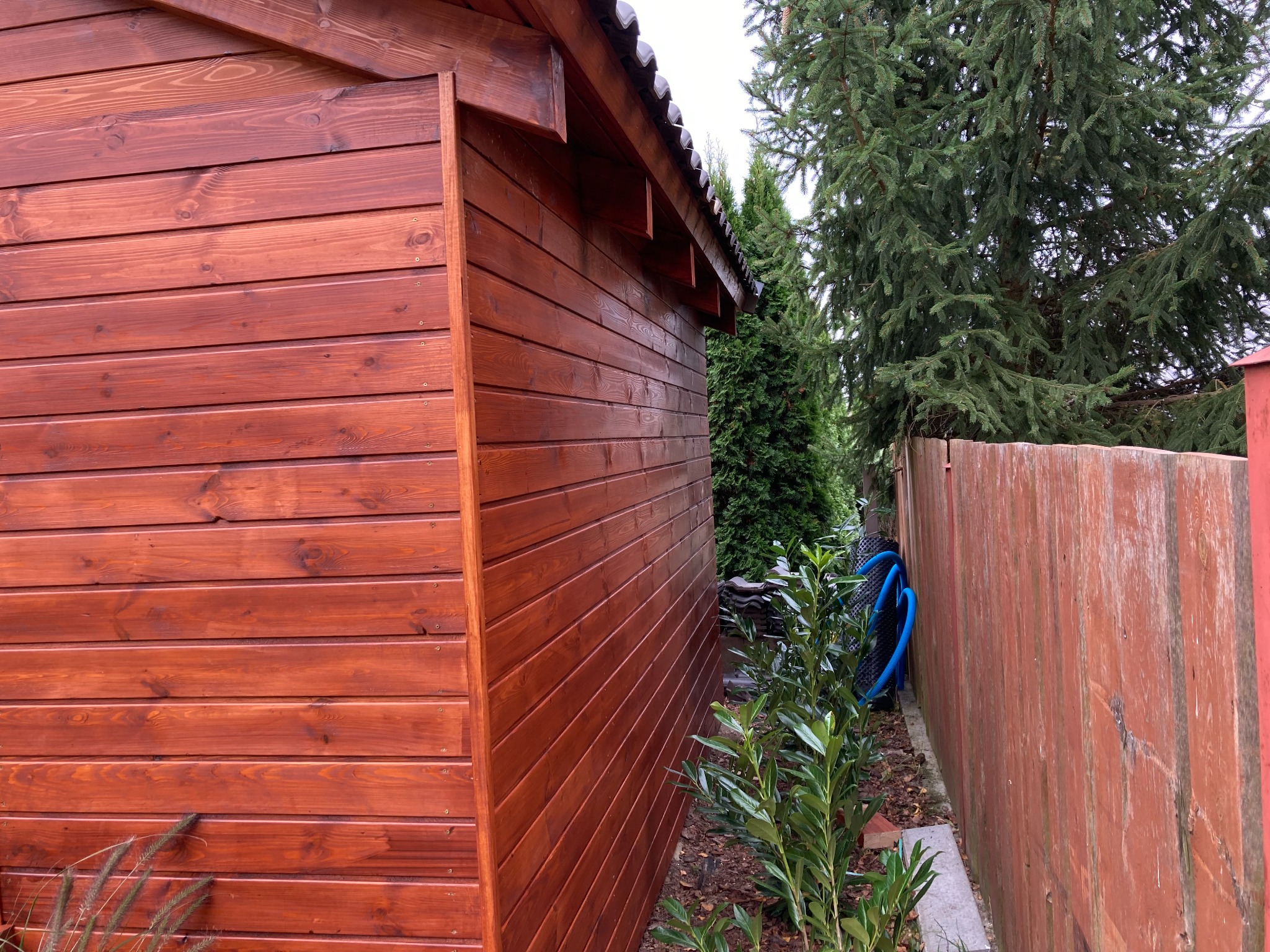 Ściana zewnętrzna małej, drewnianej konstrukcji z brązowych desek, widoczna z boku, z zielonymi roślinami i fragmentem niebieskiego węża w tle.