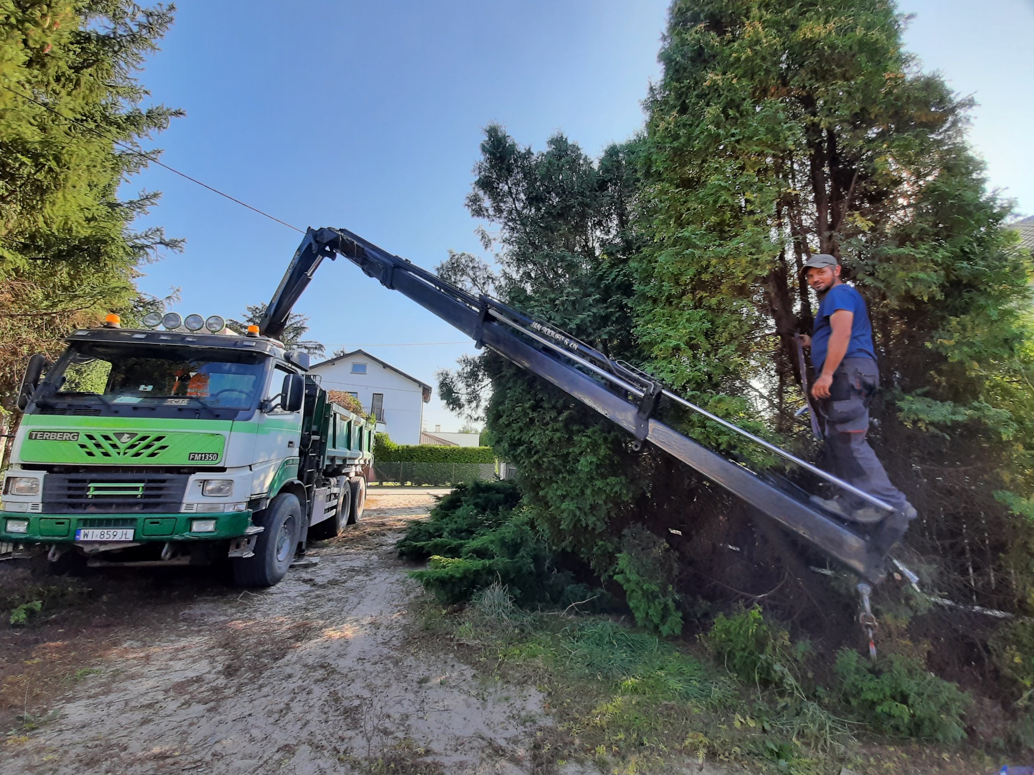 Zielono-biała ciężarówka Terberg FM135 z dźwigiem i pracownikiem przycinającym wysokie drzewo iglaste na tle błękitnego nieba i domu.