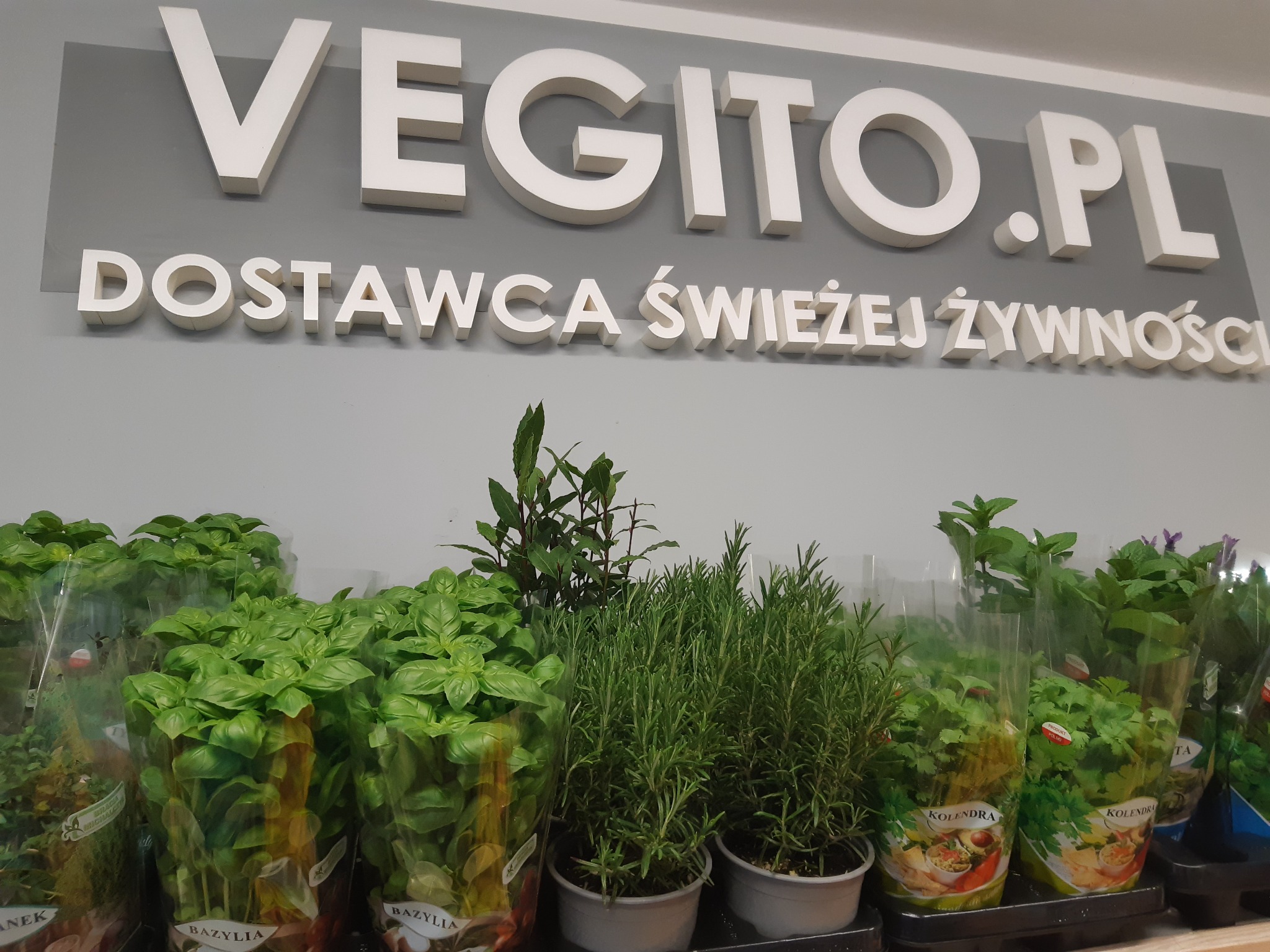 Półka z ziołami w doniczkach i opakowaniach foliowych, z napisem 'VEGITO.PL DOSTAWCA ŚWIEŻEJ ŻYWNOŚCI' na szarym tle.