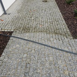 Wysokociśnieniowi Marcin Szczepanik - Fragment chodnika z kostki brukowej, widoczna różnica w czystości po umyciu, czarny wąż leżący na powierzchni, obok rabata z korą.