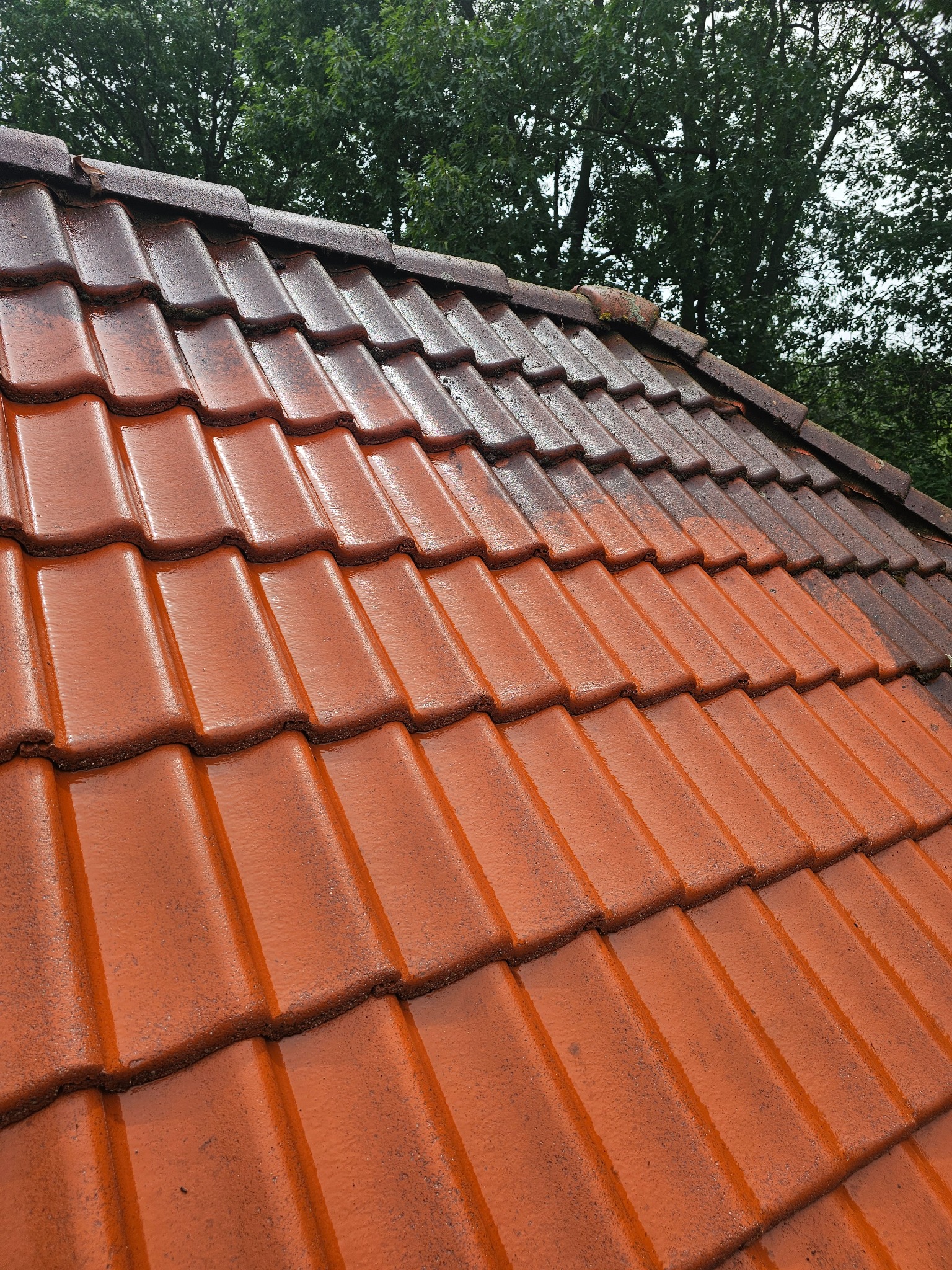 Częściowo umyty dach z czerwonej dachówki, widoczne wyraźne różnice w kolorze i czystości, tło z zieleni drzew, ujęcie z dołu pod kątem.