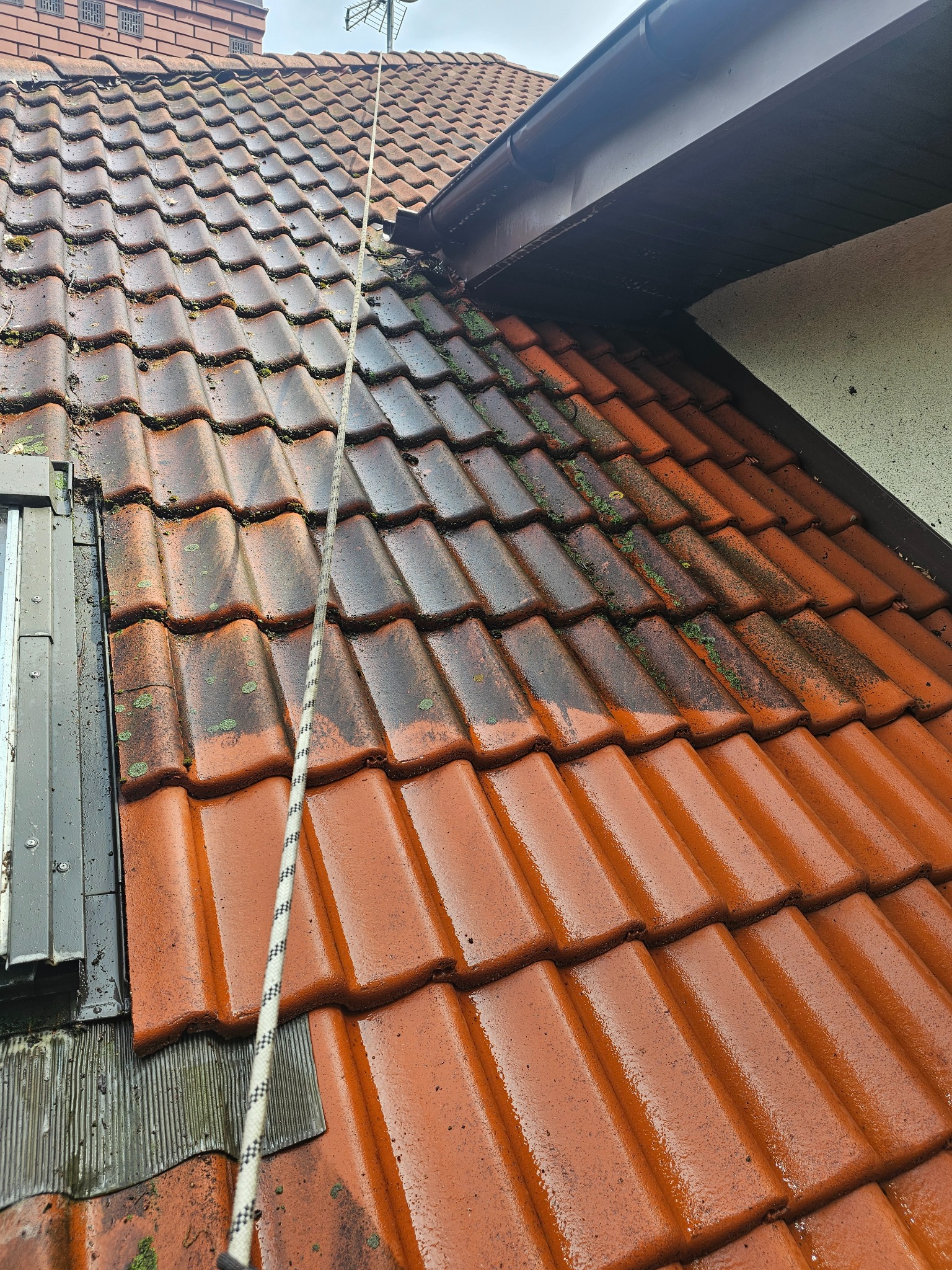 Częściowo wyczyszczony dach z czerwonej dachówki, widoczna lina zabezpieczająca. Połowa dachu pokryta mchem, druga połowa czysta i mokra po umyciu.