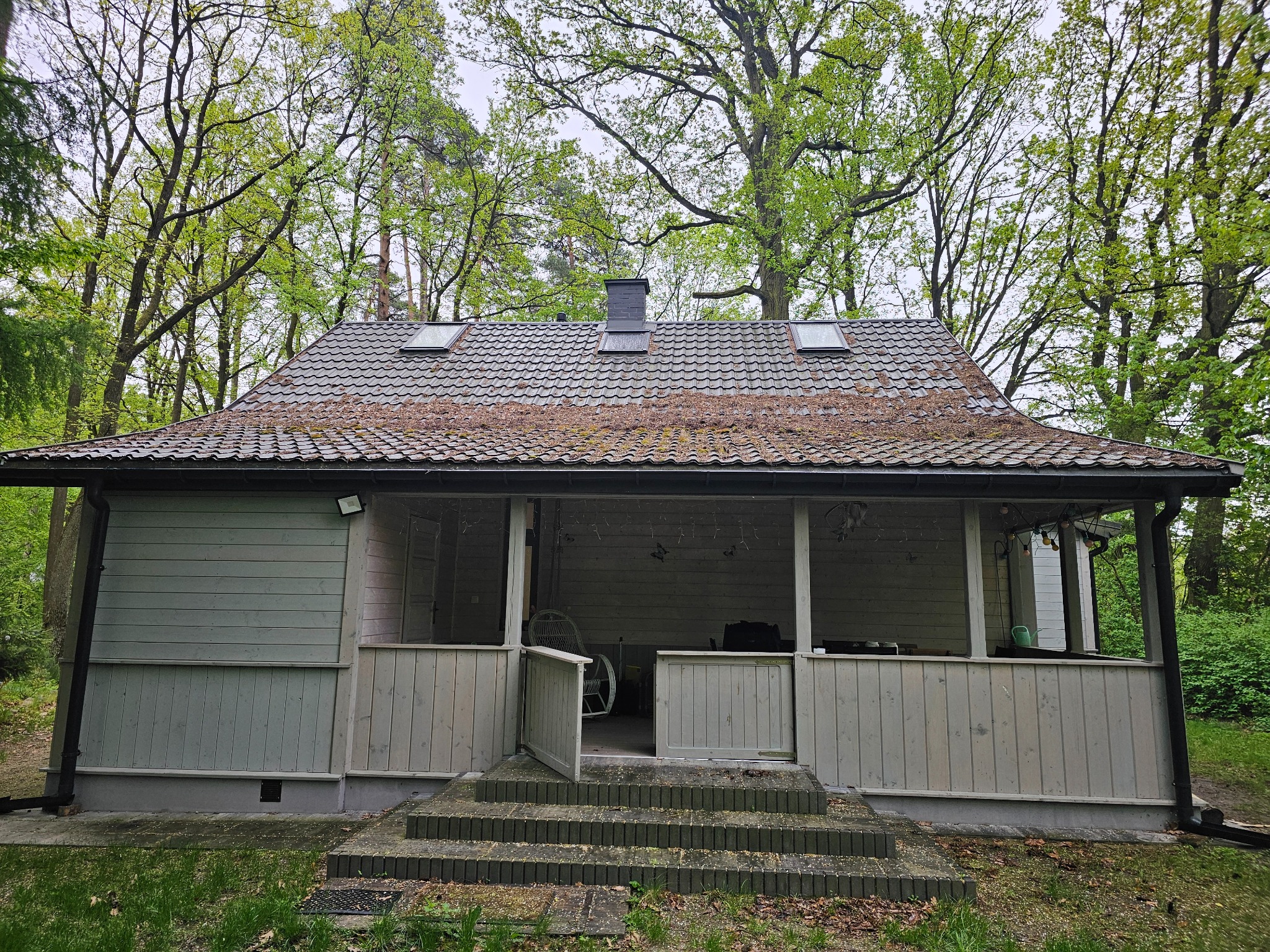 Zaniedbany dach z mchem i liśćmi w Krosna-Parcela, widoczny z poziomu gruntu. Dachówka ceramiczna, okna dachowe i komin na tle drzew. Potrzebne czyszczenie.