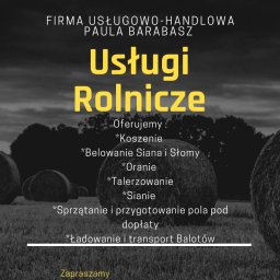 Biomasa Kamienna Góra 1