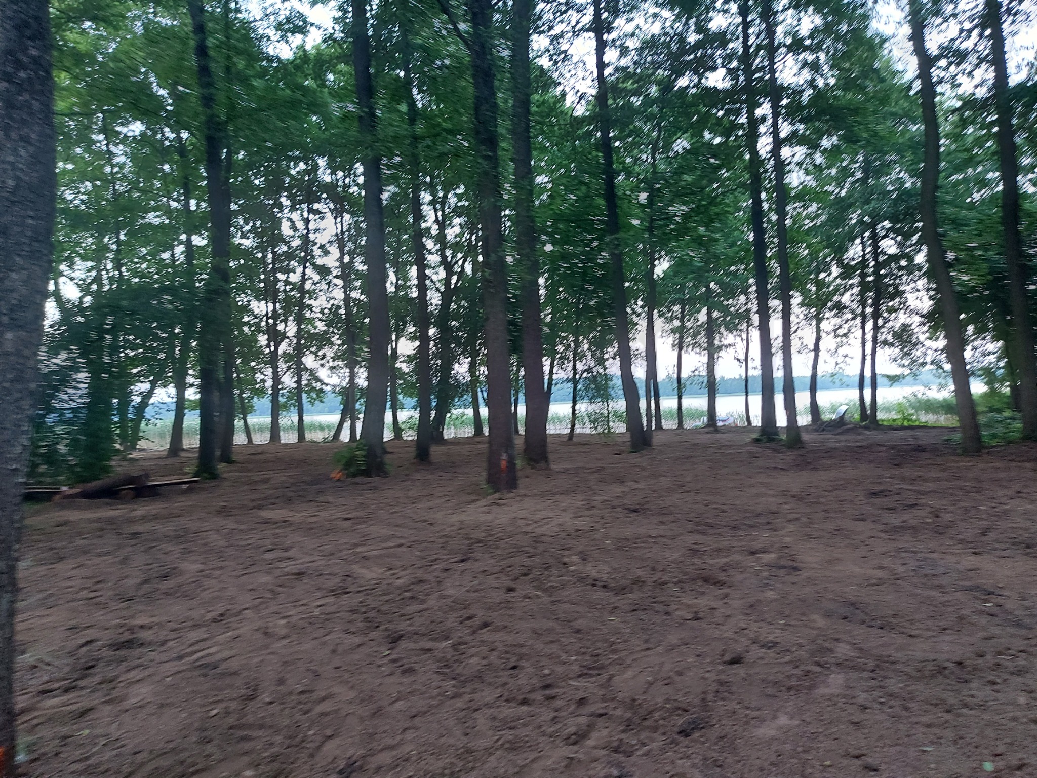 Przygotowany teren pod budowę na skraju lasu, widoczne drzewa i jezioro w tle.