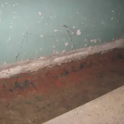 Osuszanie i izolowanie budynków