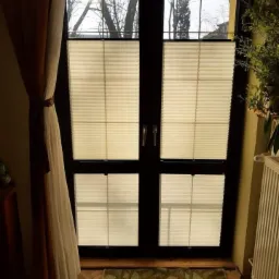 Dwuskrzydłowe okno z czarną ramą, osłonięte białymi plisami, widok z wnętrza pomieszczenia, z boku zasłona i roślina doniczkowa.