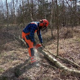 "Drwal" Tomasz Krakowian - Wycinka trudnych drzew - Producent Ogrodów Zimowych Częstochowa