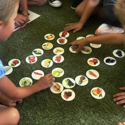 Centrum Edukacji i Turystyki EWART - Dzieci grają w grę edukacyjną z kartami przedstawiającymi owoce i warzywa, rozłożonymi na zielonym dywanie.