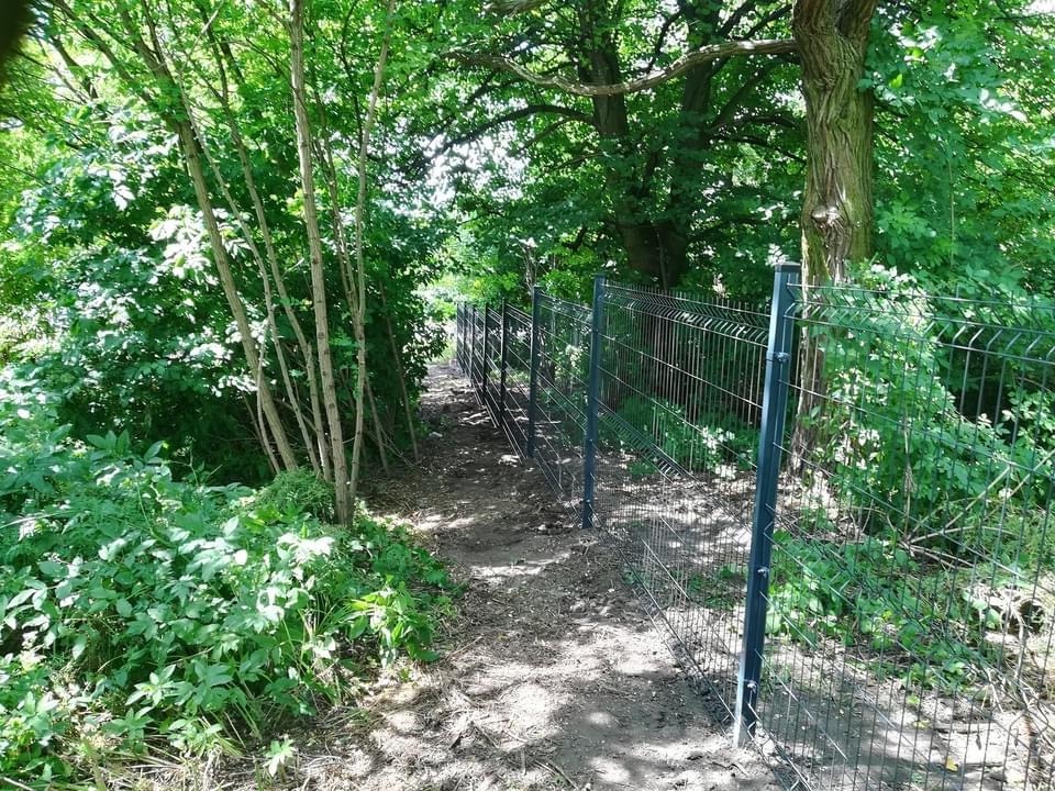 Nowo postawione, ciemne ogrodzenie panelowe z widocznymi mocowaniami, oddzielające zarośnięty teren leśny.