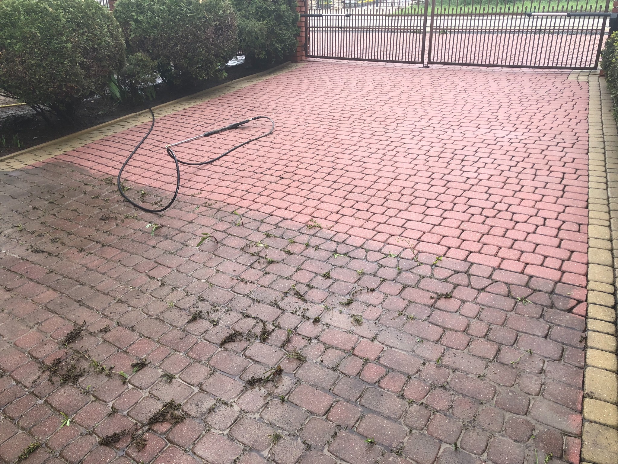 Częściowo umyta, czerwona kostka brukowa z zielonymi obrzeżami, z widocznym wężem ciśnieniowym i zanieczyszczeniami, prowadząca do metalowej bramy.