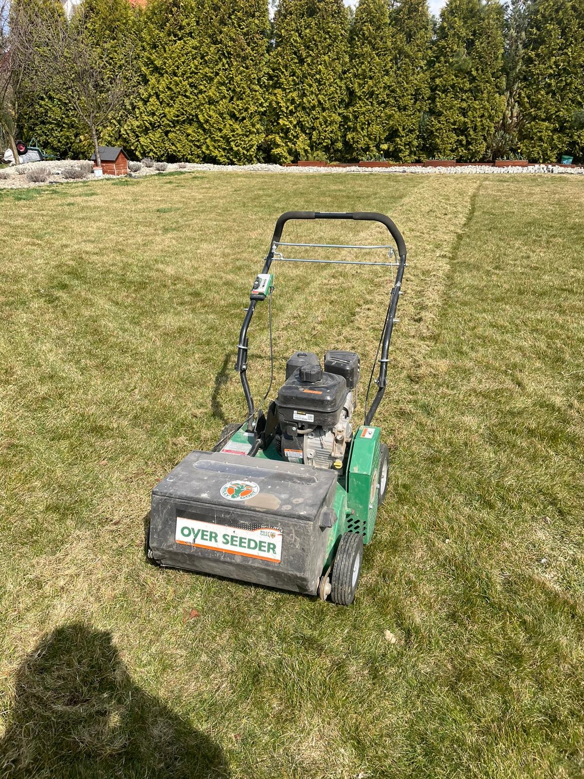 Profesjonalny siewnik trawy 'Over Seeder' na trawniku z widocznym śladem po przejeździe, w tle wysokie tuje.