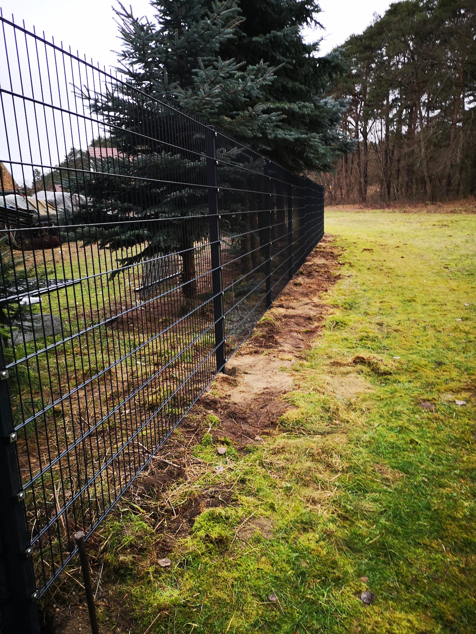 Nowoczesne, czarne ogrodzenie panelowe z siatki na tle zielonego trawnika i drzew iglastych. Widok z perspektywy ziemi, podkreślający solidność konstrukcji.