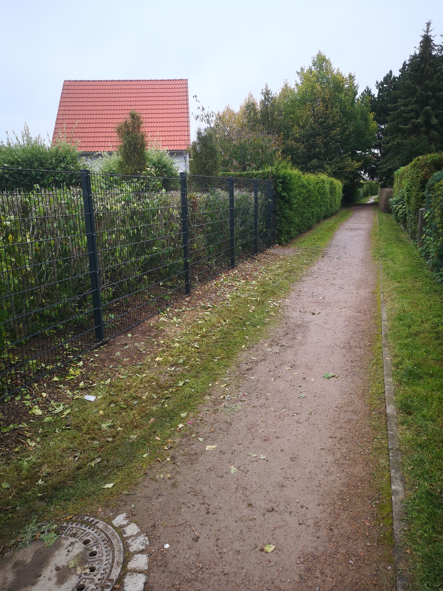 Metalowe ogrodzenie panelowe w Gubinie, oddzielające ścieżkę od posesji z zielenią. Widok wzdłuż ogrodzenia, w tle dom z czerwoną dachówką i drzewa.