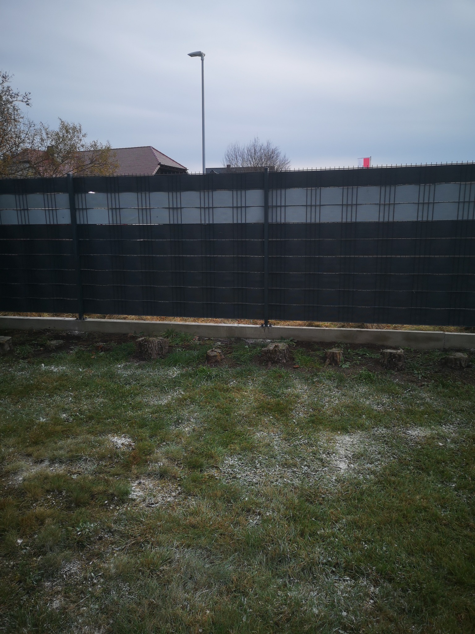 Nowoczesne, czarne ogrodzenie panelowe z podmurówką na trawniku z pniakami po wycince drzew, oświetlone latarnią uliczną w tle.